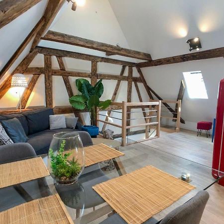 Beauty & The Beast - Old Town Cosy Apartments Colmar Bagian luar foto