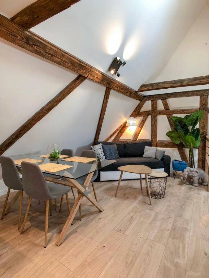 Beauty & The Beast - Old Town Cosy Apartments Colmar Bagian luar foto
