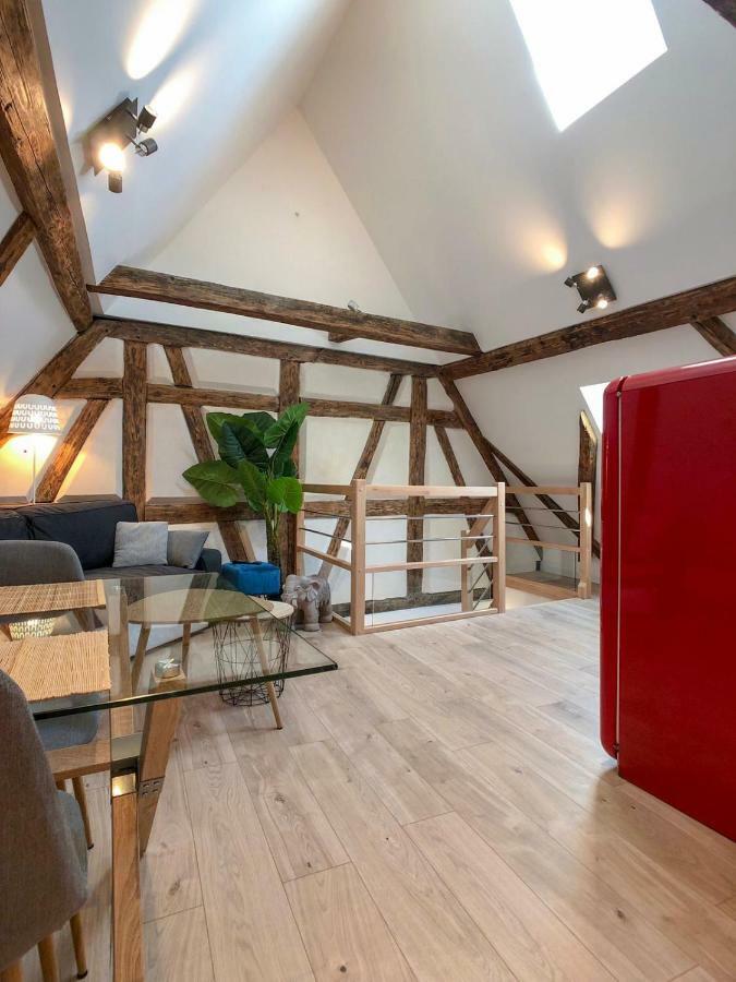 Beauty & The Beast - Old Town Cosy Apartments Colmar Bagian luar foto