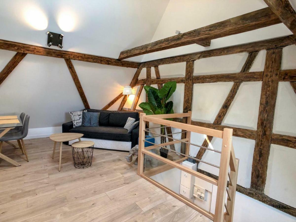 Beauty & The Beast - Old Town Cosy Apartments Colmar Bagian luar foto