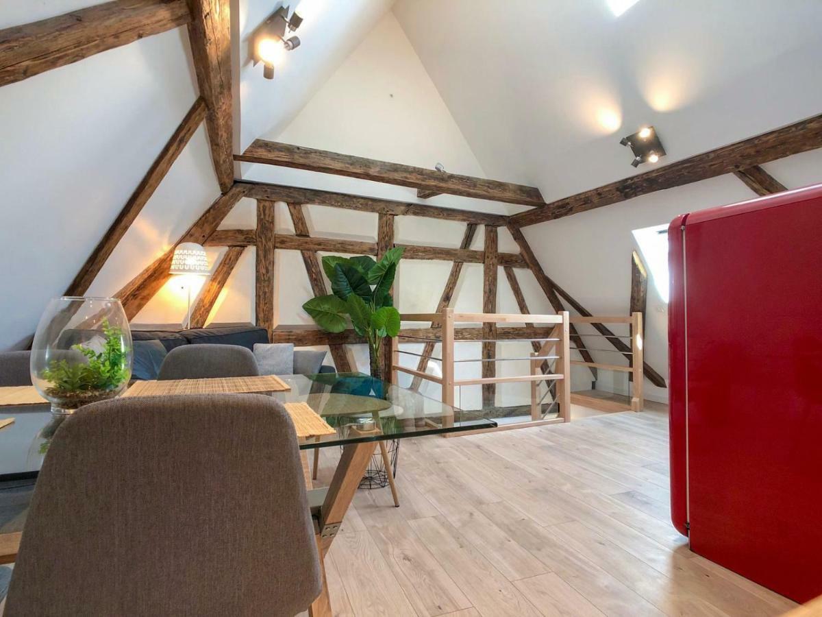 Beauty & The Beast - Old Town Cosy Apartments Colmar Bagian luar foto