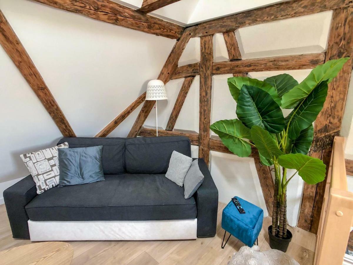 Beauty & The Beast - Old Town Cosy Apartments Colmar Bagian luar foto