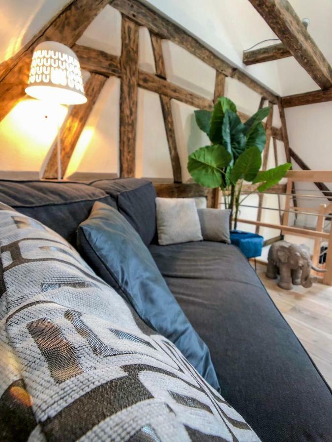 Beauty & The Beast - Old Town Cosy Apartments Colmar Bagian luar foto